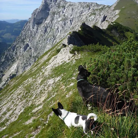 In Eisenerz/steiermark 35486 Eisenerz